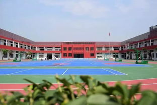 湛江电子商务专业的学校