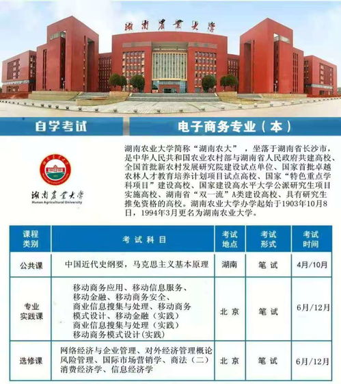 电子商务单招专业考试