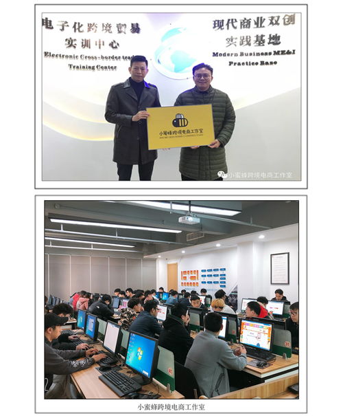 电子商务人才专业技能