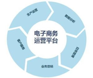 电子商务需要专业能力吗