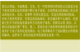 电子商务方向专业计划书