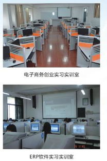 学电子商务换什么专业好