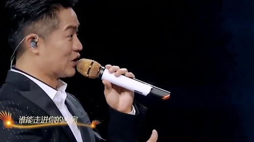 岳云鹏演唱会票价飙升，竟超越凤凰传奇！揭秘火爆背后的原因