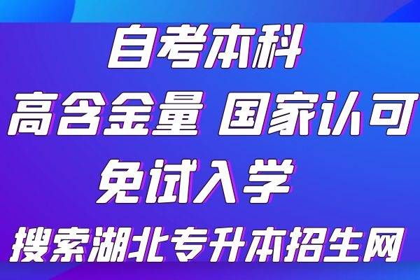 成人高考电子商务专业吗