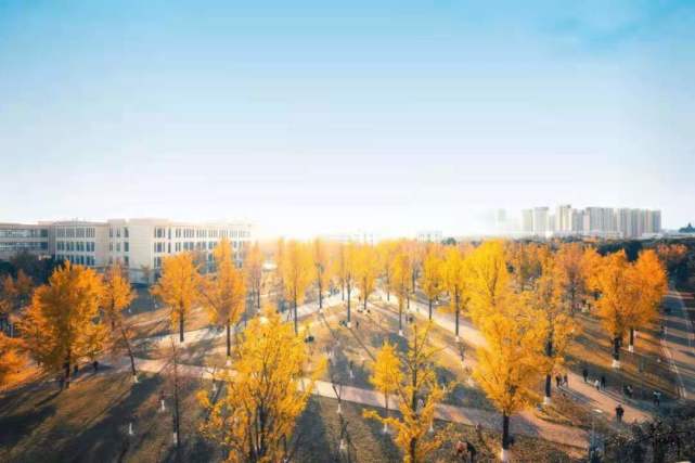 黑建筑有电子商务专业吗