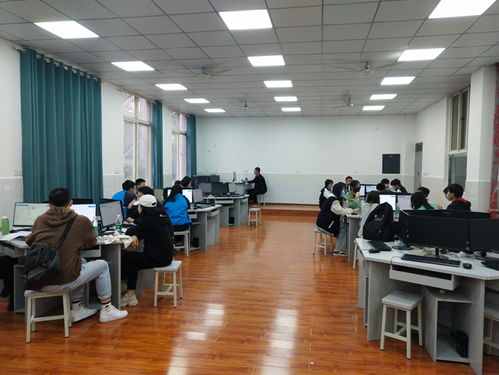 职高电子商务专业是干嘛的