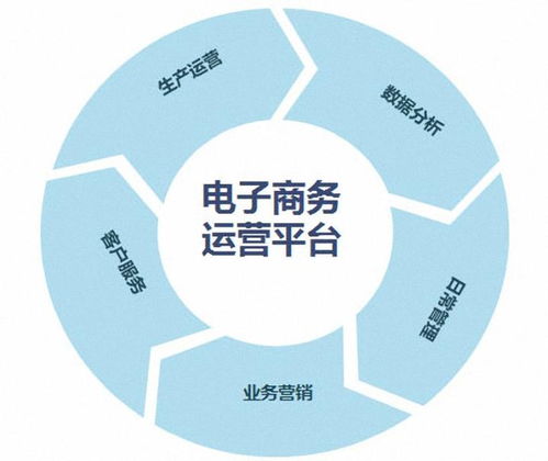 电子商务专业主要特征